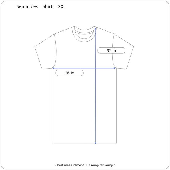 Seminoles 2XL Mesh Performance T Red Star Sporty Athletic Activewear Workout - Picture 4 of 9